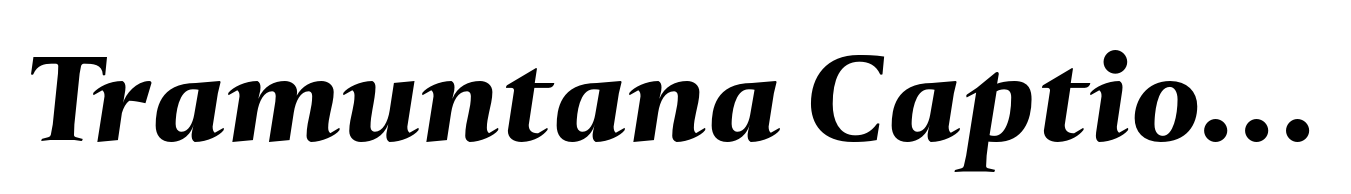 Tramuntana Caption Pro Heavy Italic